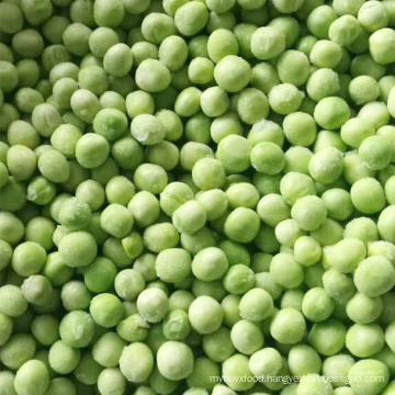 China New Crop IQF Frozen Green Pea